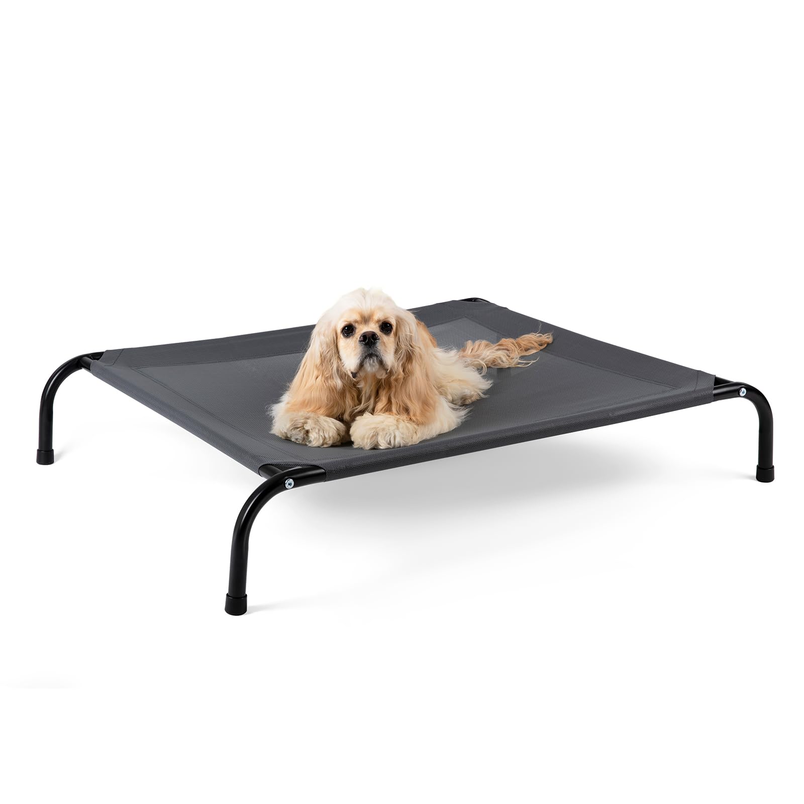 Cama SIEMOUR para perro elevada con malla transpirable para descanso fresco