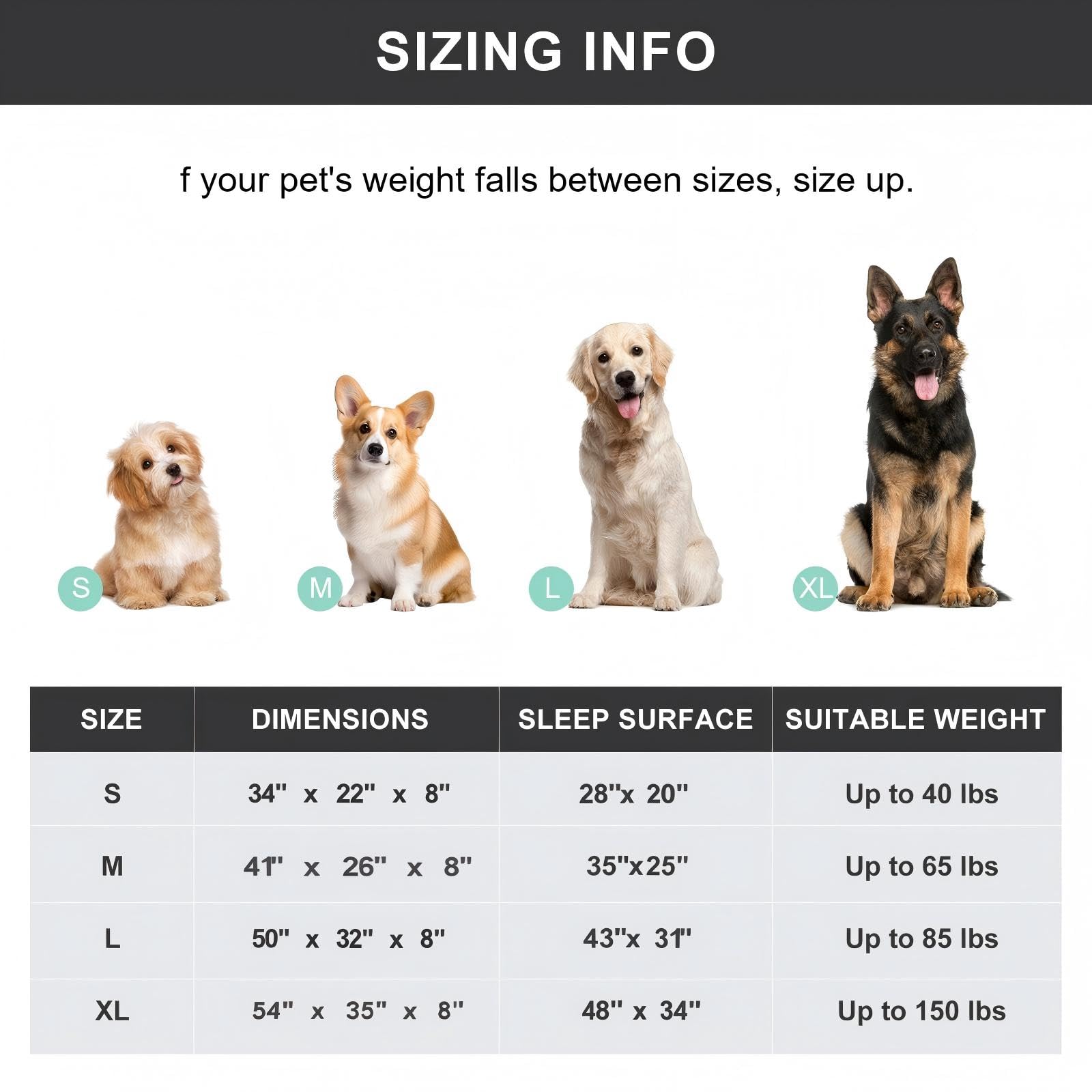 Cama SIEMOUR tamaño mediano gris apta para perros medianos
