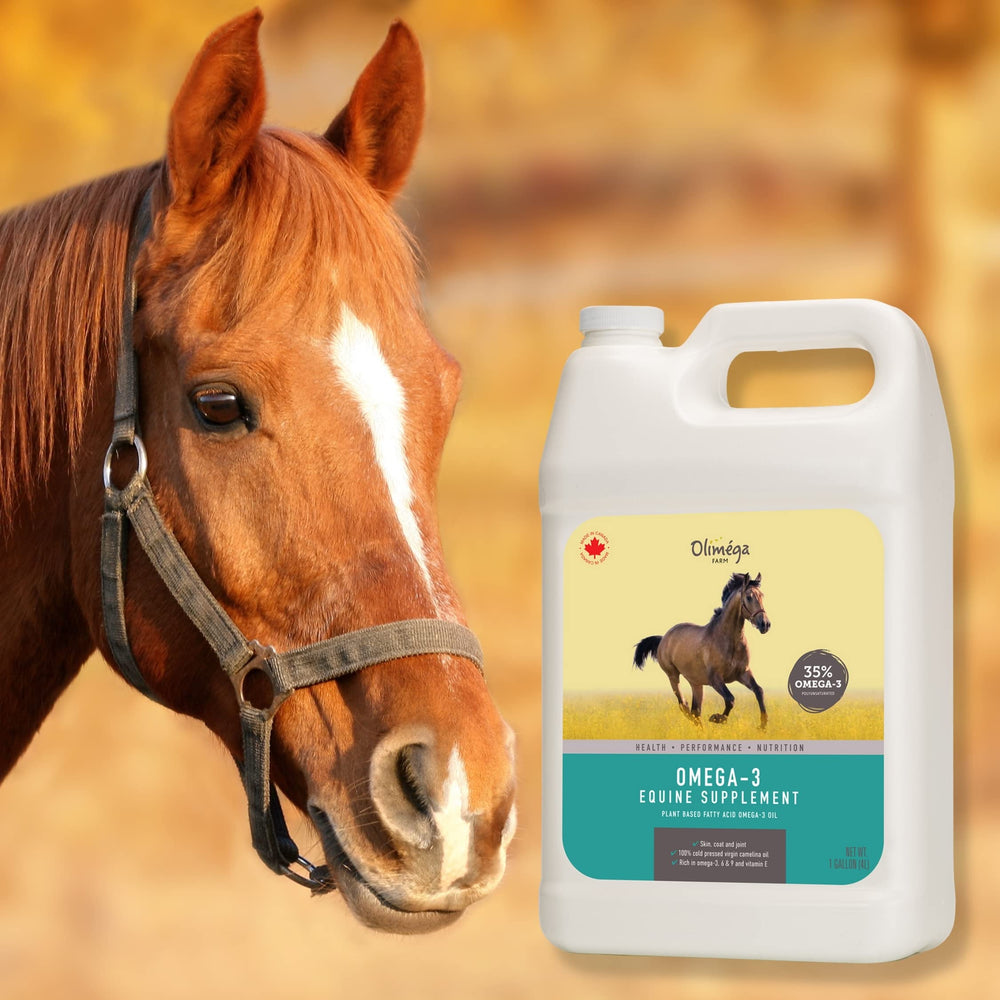 Signé Caméline Aceite de camelina para caballos: empaque canadiense y sostenible