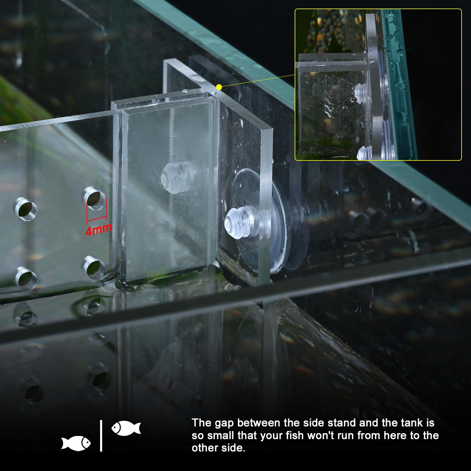 Instalación rápida con ventosas para divisor de acuario SIKGFPN.