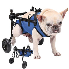 Silla de ruedas para perro pequeño, ajuste de altura para mayor comodidad