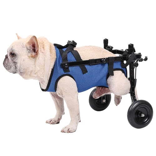 Silla de ruedas para perro pequeño, ajuste de ancho para mejor ajuste