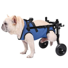 Silla de ruedas para perro pequeño, ajuste de ancho para mejor ajuste