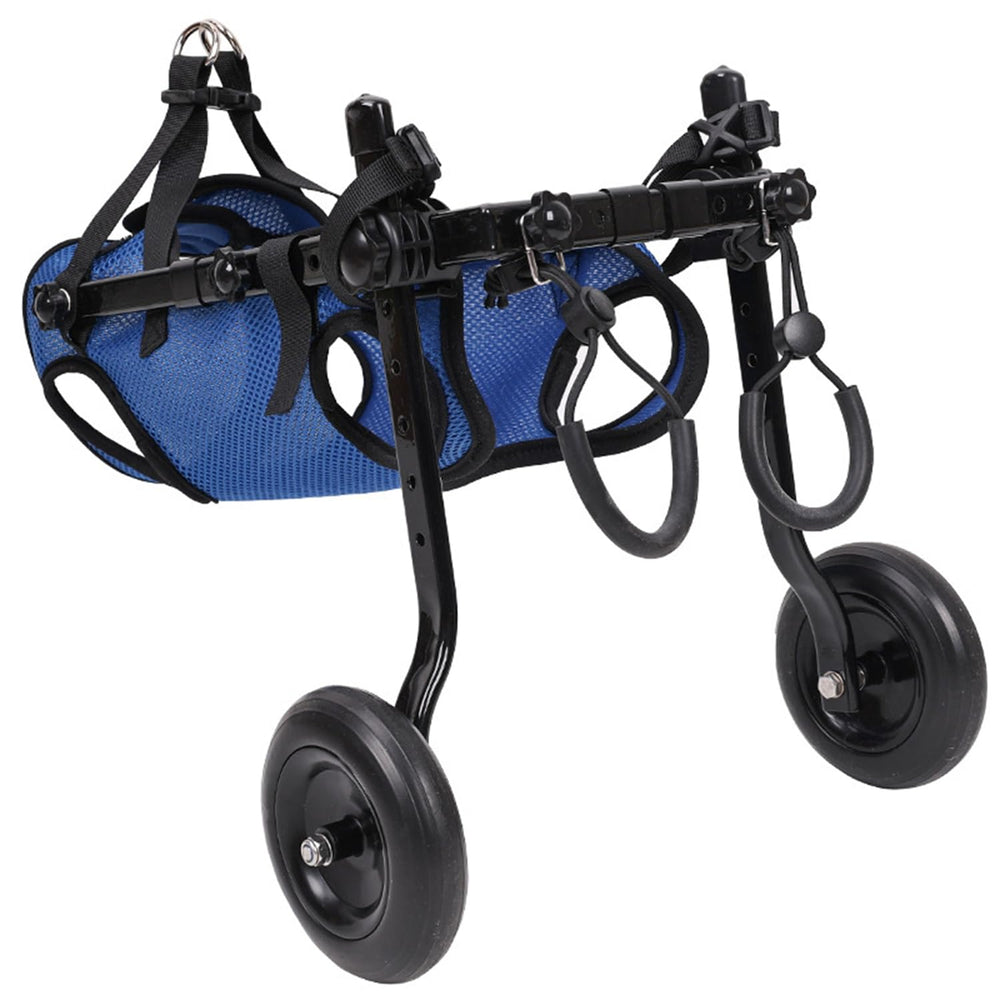 Silla de ruedas para perro pequeño, uso diario cómodo y seguro