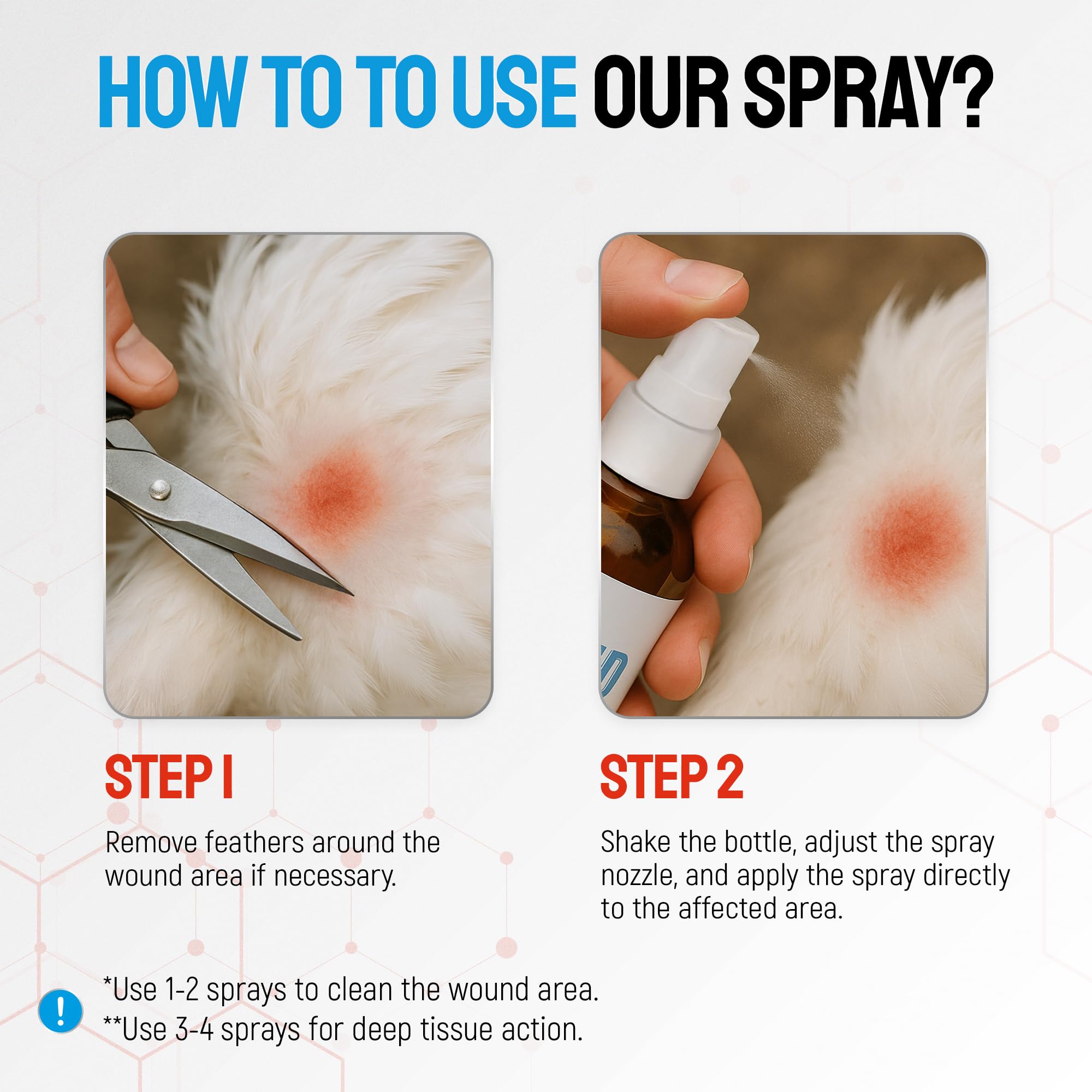 SILVER GRADE spray en gallina con herida, aplicación suave en pico y patas.