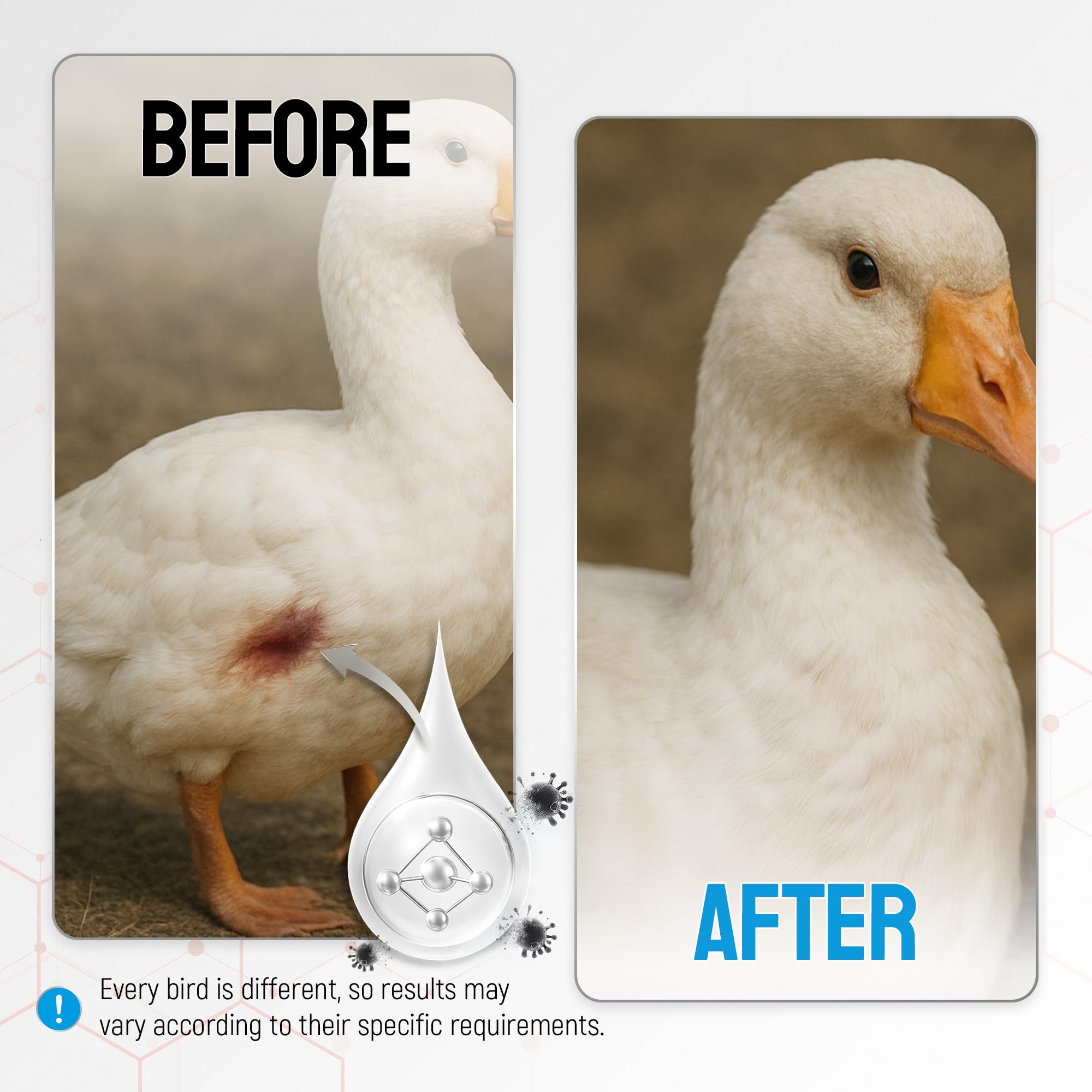 SILVER GRADE spray, kit de primeros auxilios para aves, cuidado práctico.