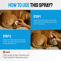 Silver Grade tratamiento para zonas irritadas de perros, ayuda rápida en casa.