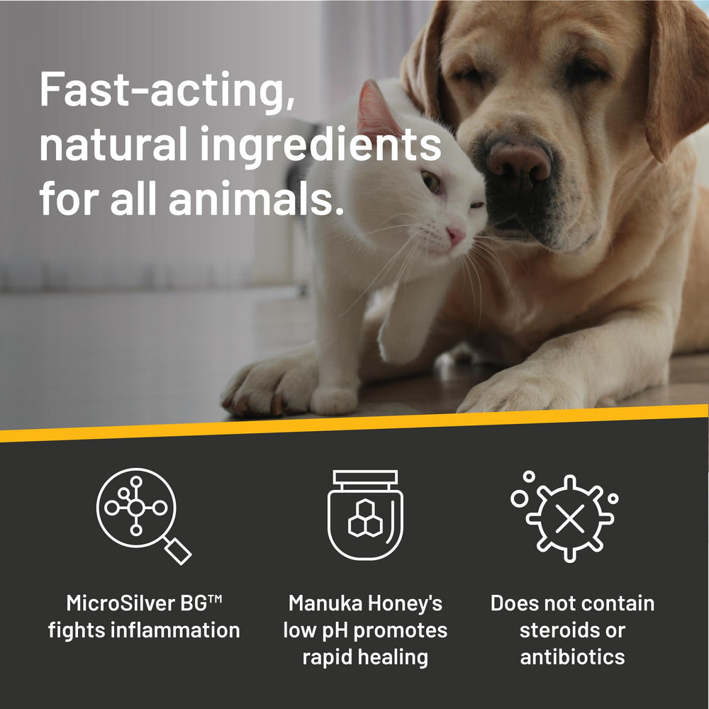  Silver Honey Absorbine cuidado de heridas en zonas grandes sin manipulación.