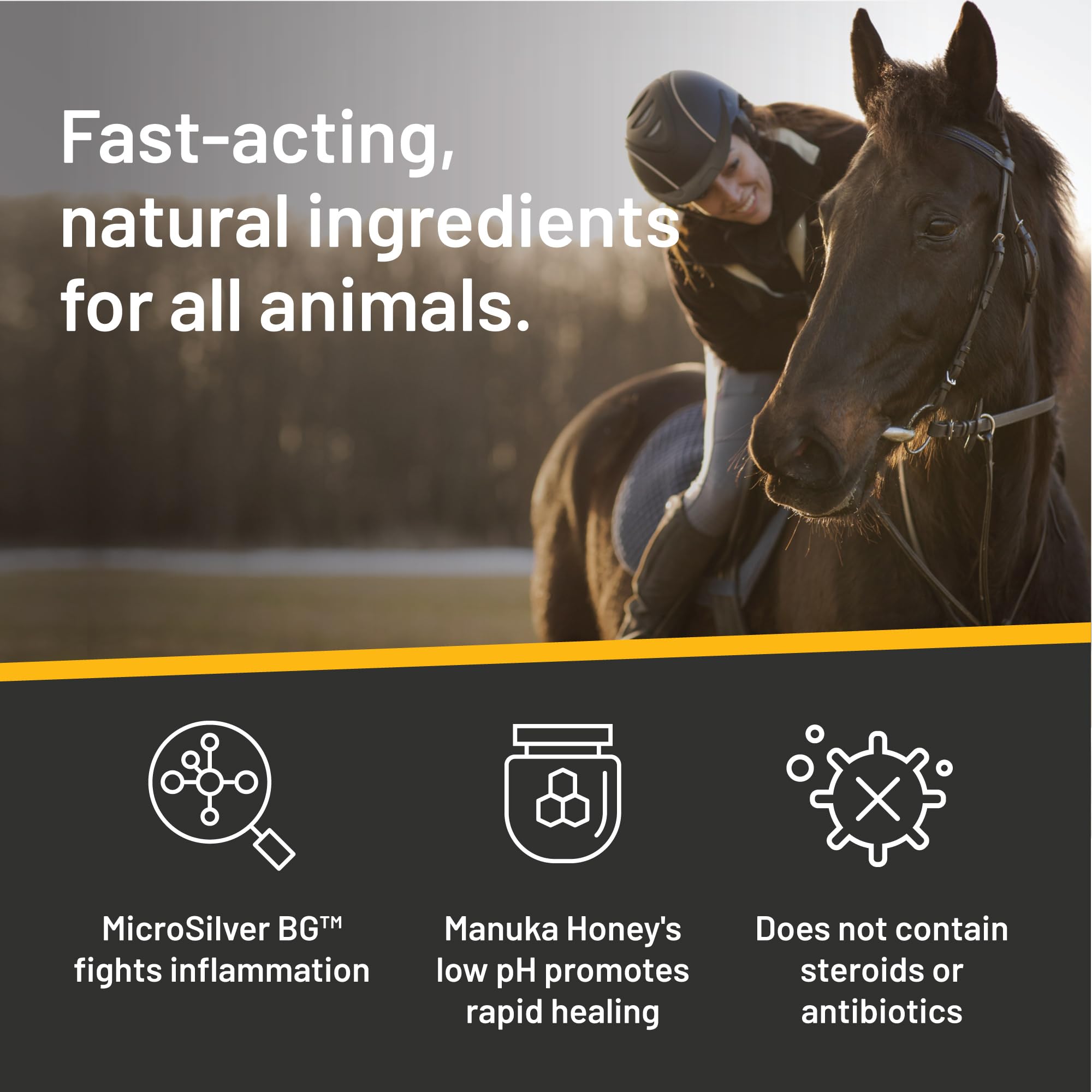 Aplicación en herida equina con Silver Honey