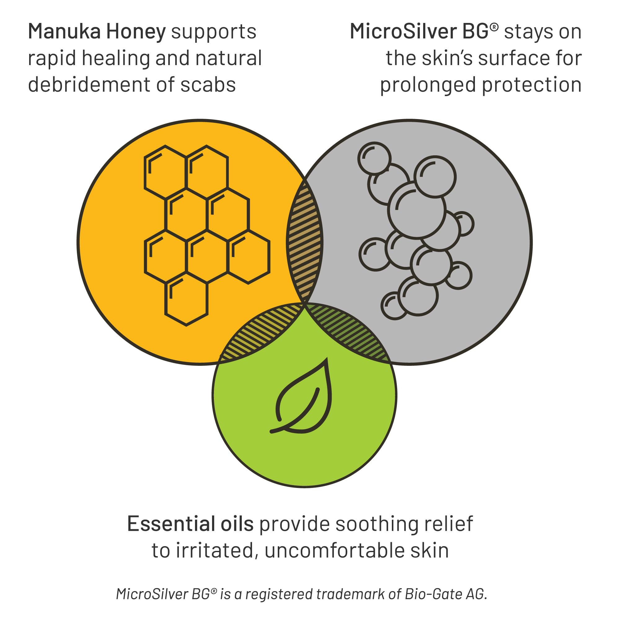 Silver Honey Rapid Relief en zona afectada de caballos, facilita penetración de ingredientes.