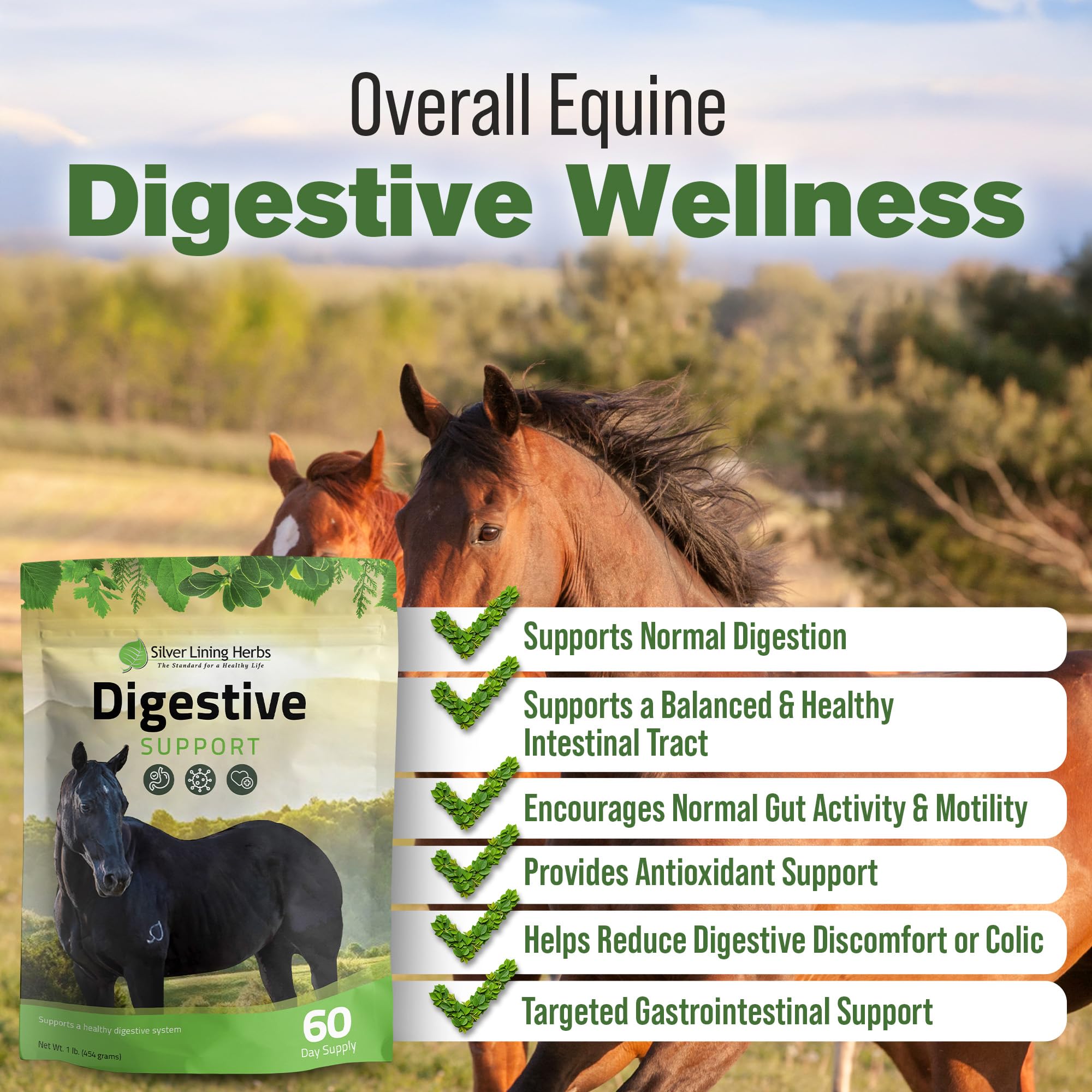 Silver Lining Herbs: cucharita medidora para dosis precisa del polvo digestivo caballos