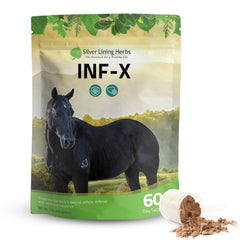 Polvo INF-X de Silver Lining Herbs en lata, apoyo inmunitario para caballos.