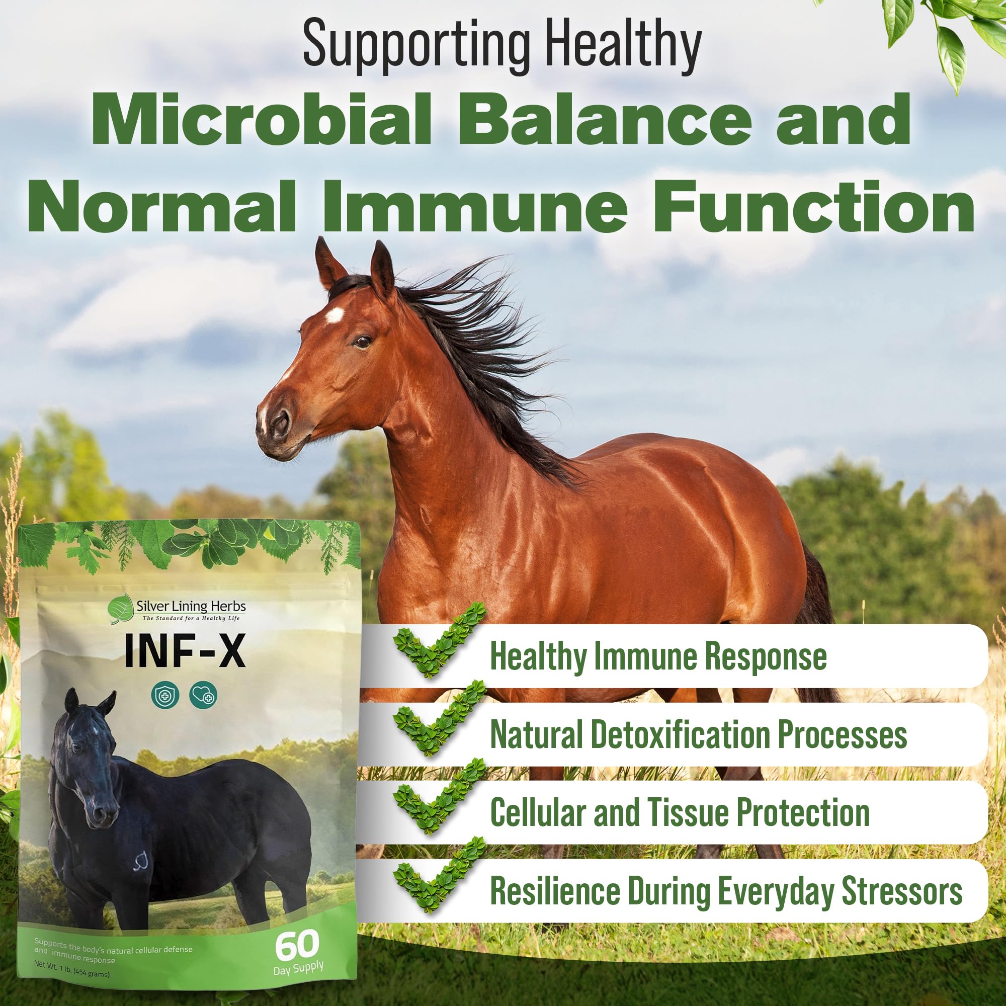 Mezcla fácil en alimento diario, INF-X promueve equilibrio interno.