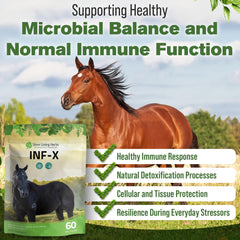 Mezcla fácil en alimento diario, INF-X promueve equilibrio interno.