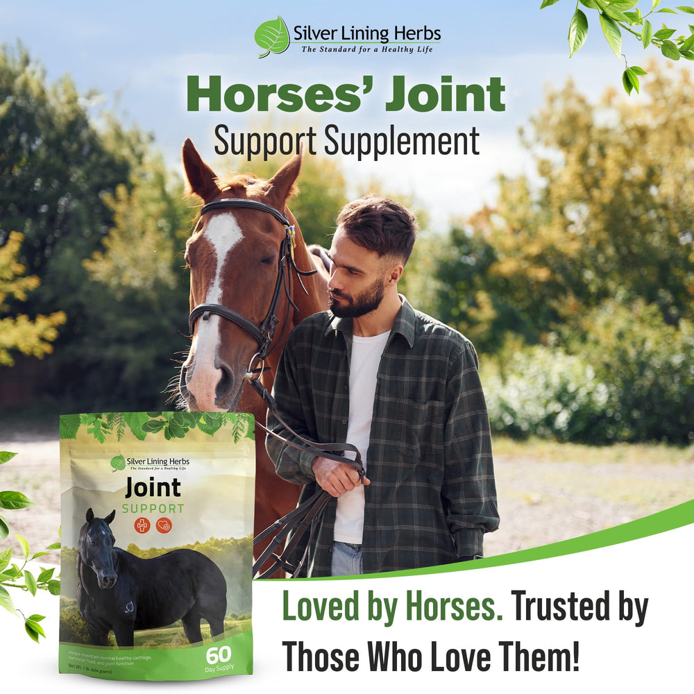 Silver Lining Herbs mejora circulación con jengibre para caballos