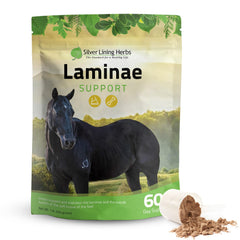Silver Lining Herbs Laminae frasco visible, apoyo suave para movilidad del caballo.