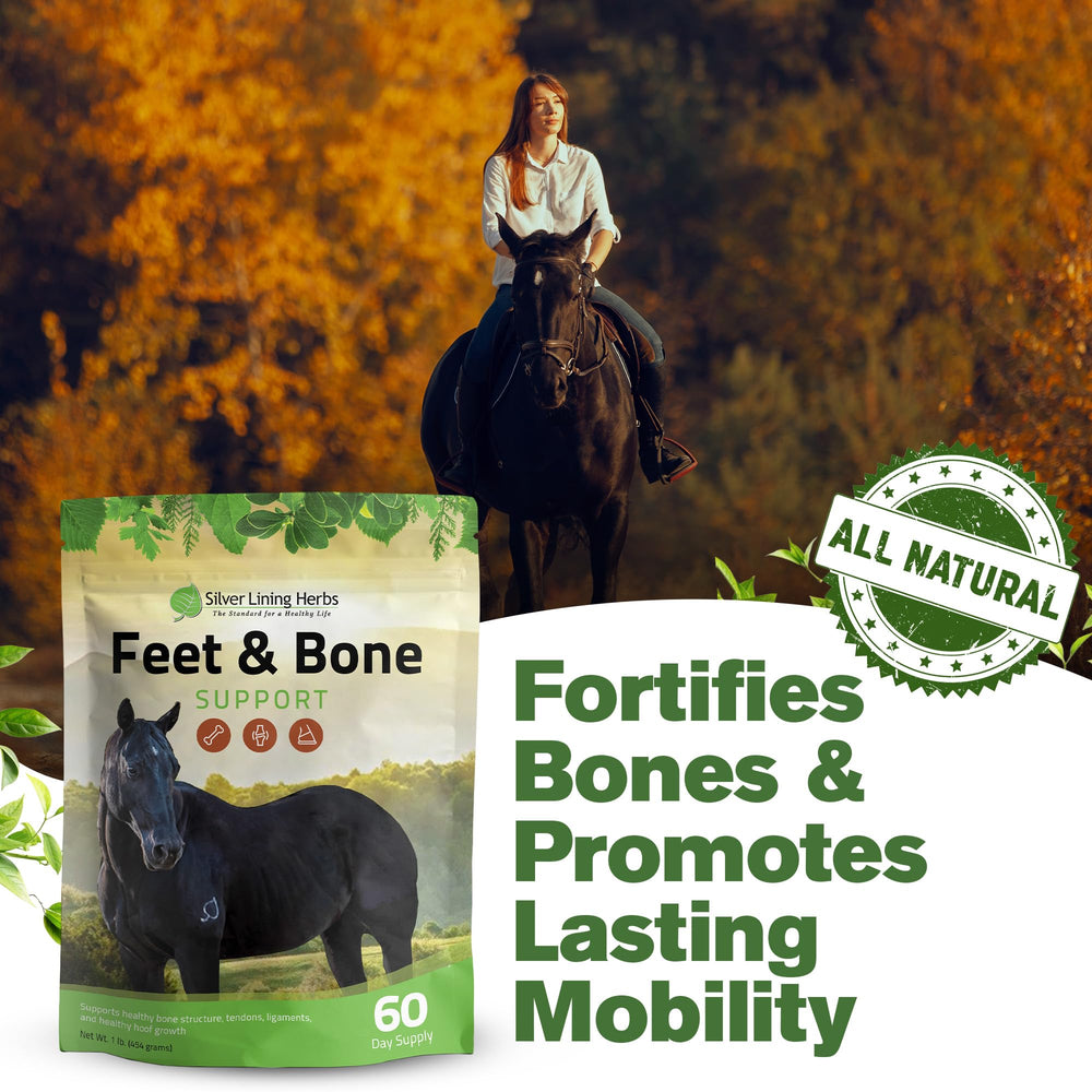 Silver Lining Herbs mezcla herbal para soporte estructural