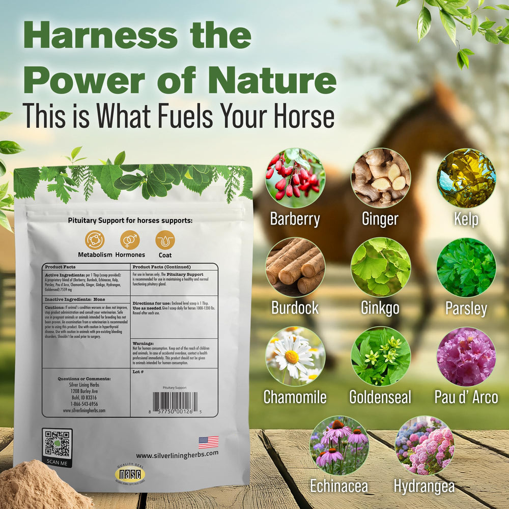 Mezcla de hierbas Silver Lining Herbs para el bienestar equino.
