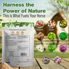 Mezcla de hierbas Silver Lining Herbs para el bienestar equino.