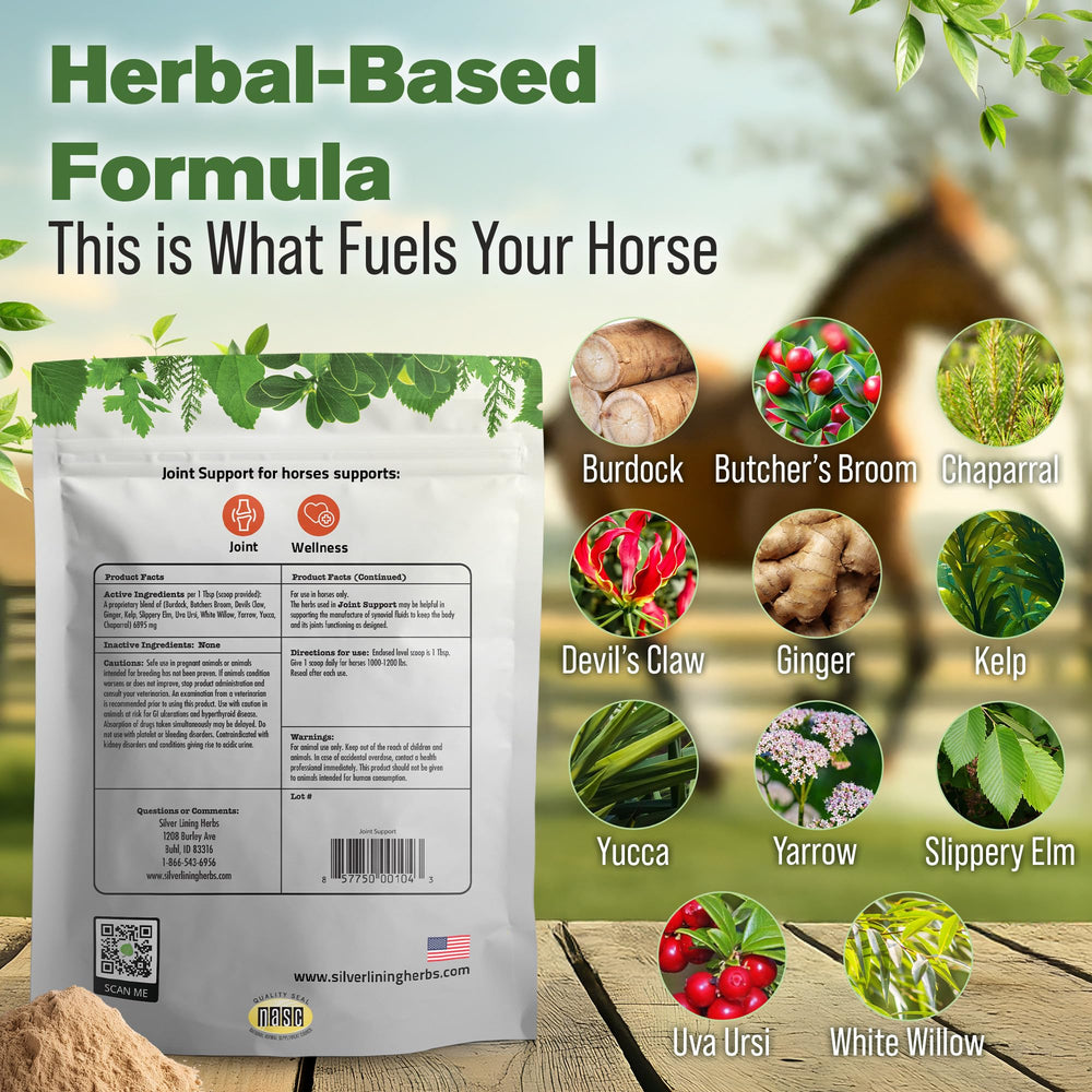 Silver Lining Herbs revela mezcla de hierbas con jengibre y bardana para bienestar articular
