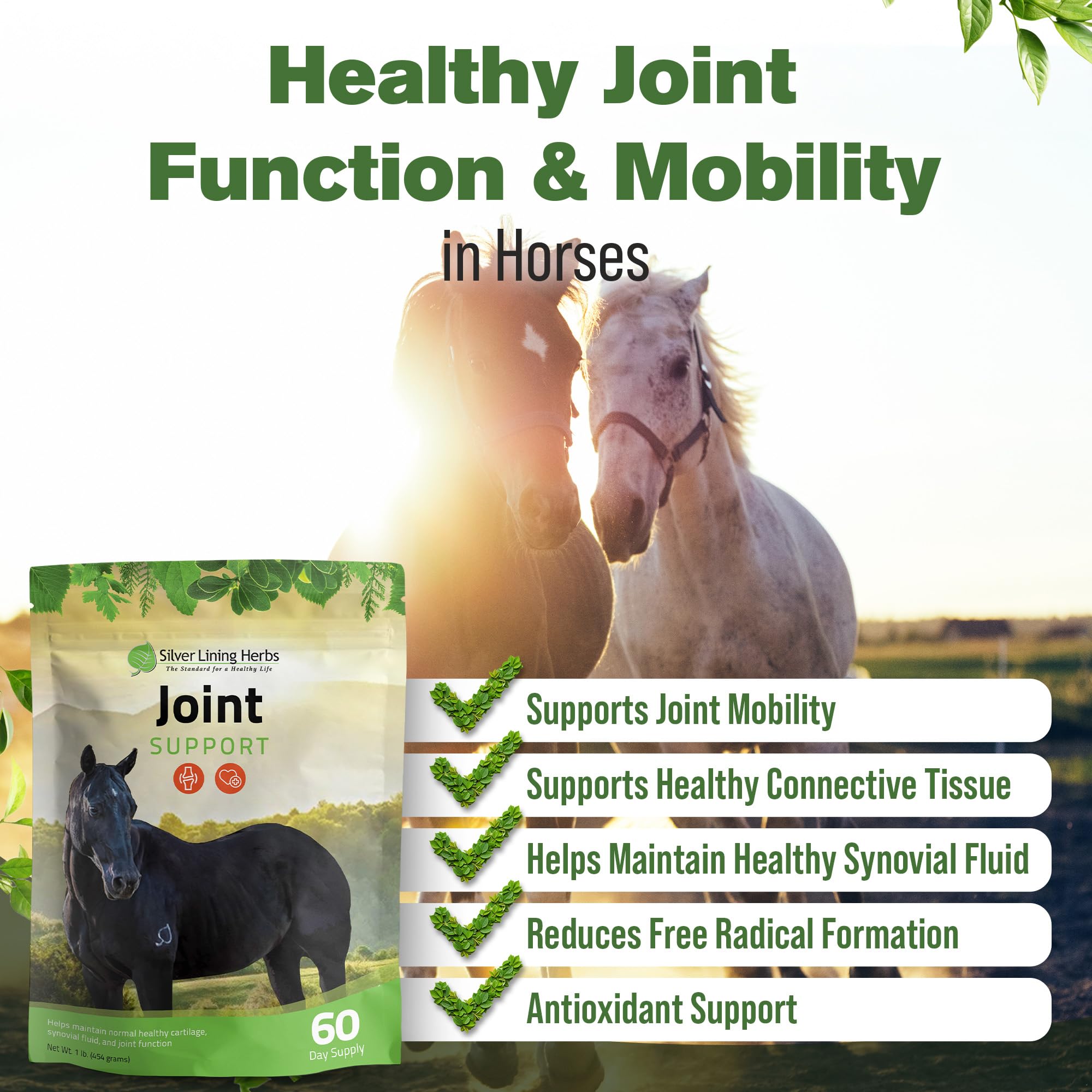 Silver Lining Herbs muestra movilidad de caballos en campo, ideal para entrenamientos