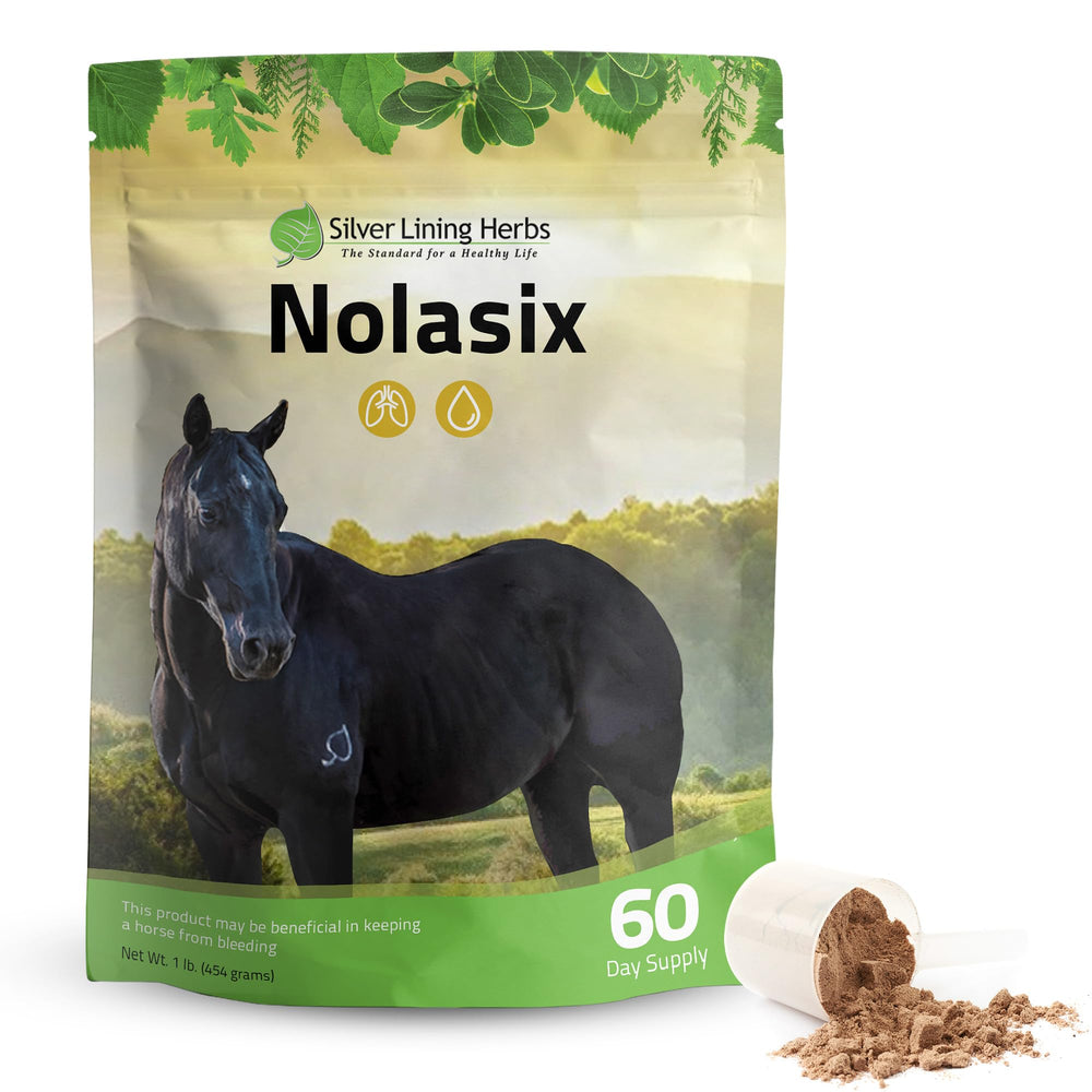 Nolasix de Silver Lining Herbs, dosis en polvo, para apoyo diario de la circulación del caballo.