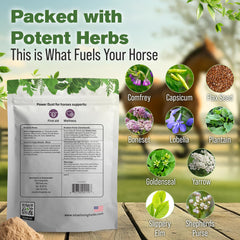 Power Dust para aplicación seca en caballos mejora limpieza y curación.