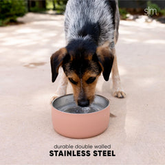 Bentley tazón 32oz tamaño ideal para mascotas pequeñas durante la comida