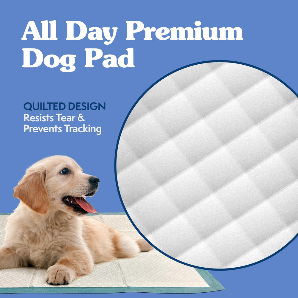 Neutraliza el olor para un hogar más fresco
