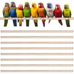 Percha Sintuff para jaula de 24 pulgadas, descanso cómodo para aves.