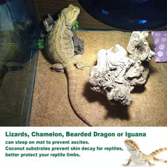 SISIPAI LIFE Alfombra coco para terrario descanso cómodo.