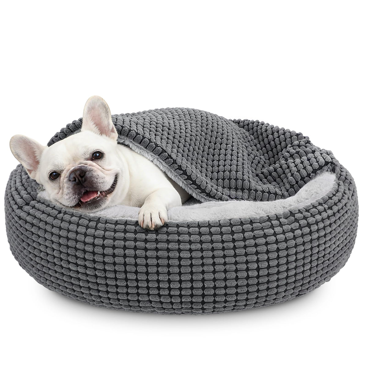 Cama SIWA MARY para perros pequeños con manta adjunta, refugio cálido y seguro