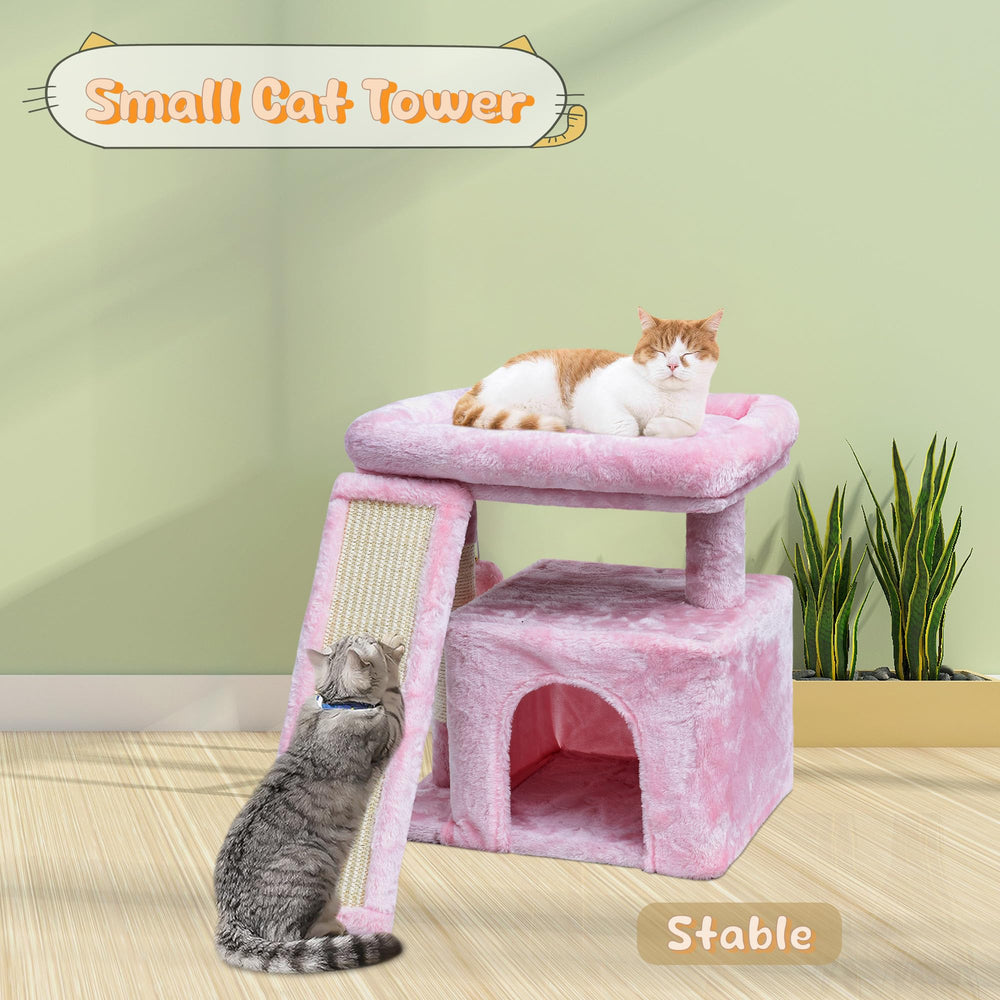 SIYIPURR bola-peluche-gato: juguete interactivo para perseguir