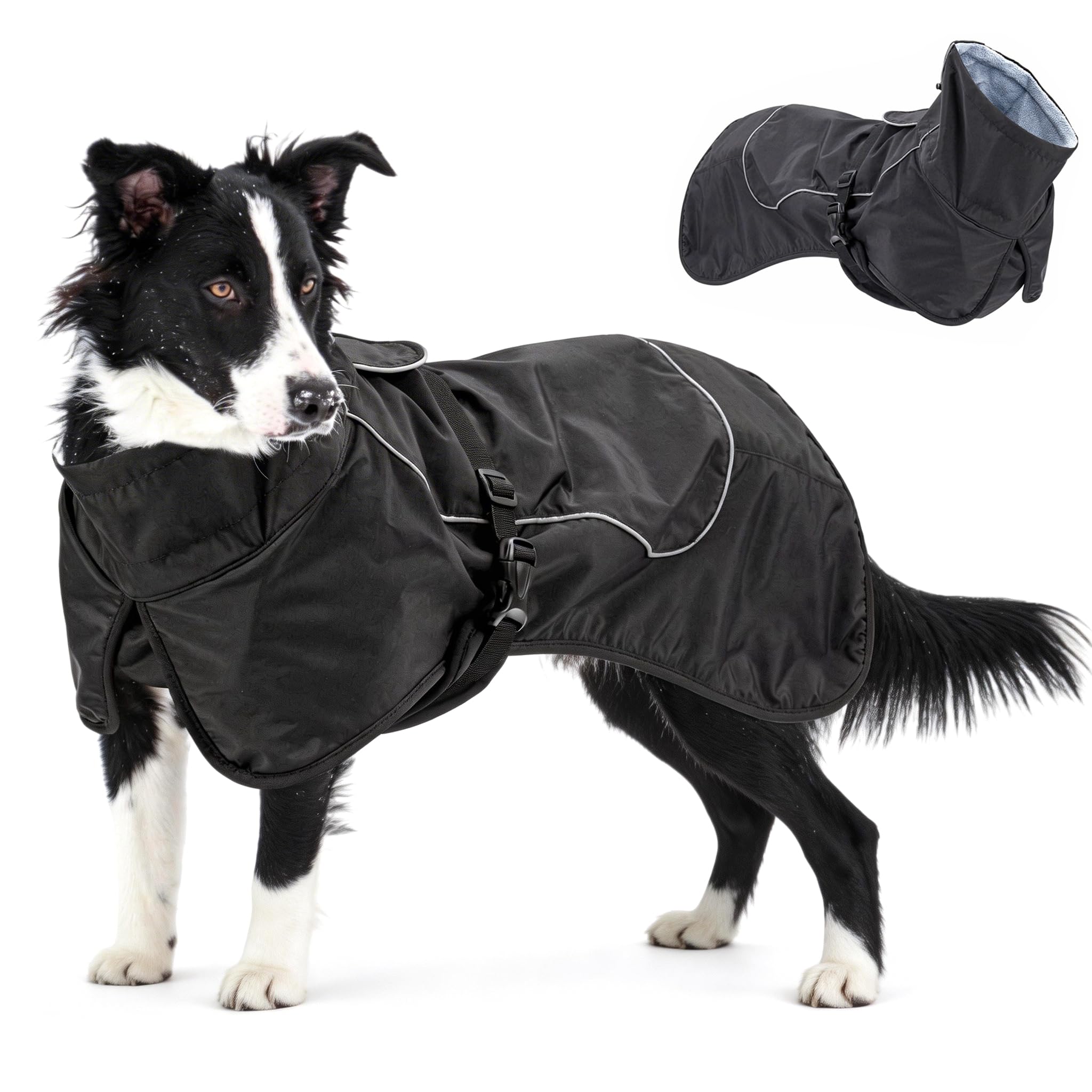 skmeditec impermeable para perros, vista frontal, mantiene al perro seco en la lluvia