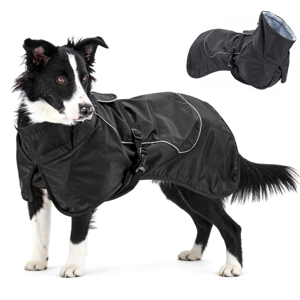 skmeditec impermeable para perros, vista frontal, mantiene al perro seco en la lluvia