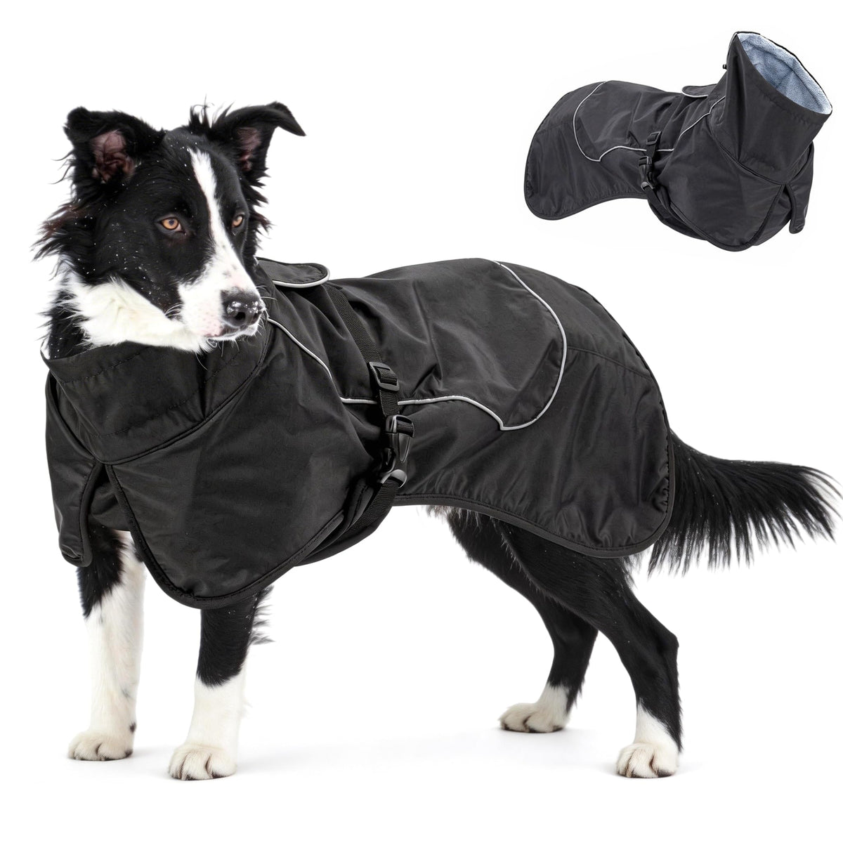 skmeditec impermeable para perros, vista frontal, mantiene al perro seco en la lluvia