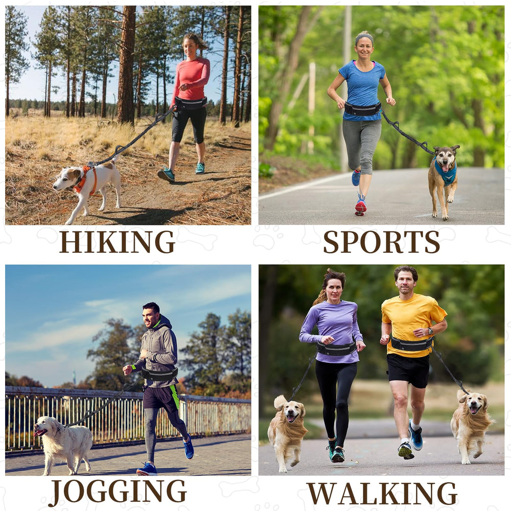 Skmeditec: tirones del perro controlables para paseos placenteros.