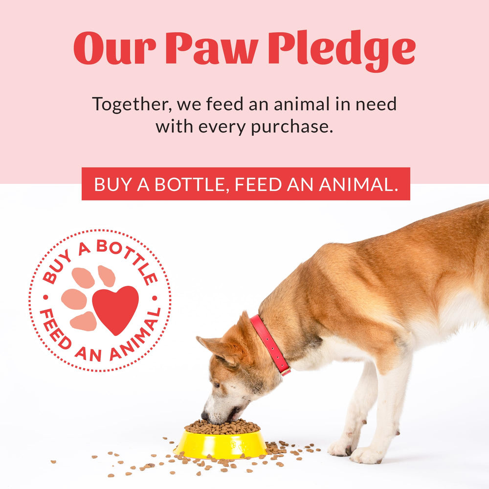 SKOUT'S HONOR compromiso donar animales necesitados con cada compra.