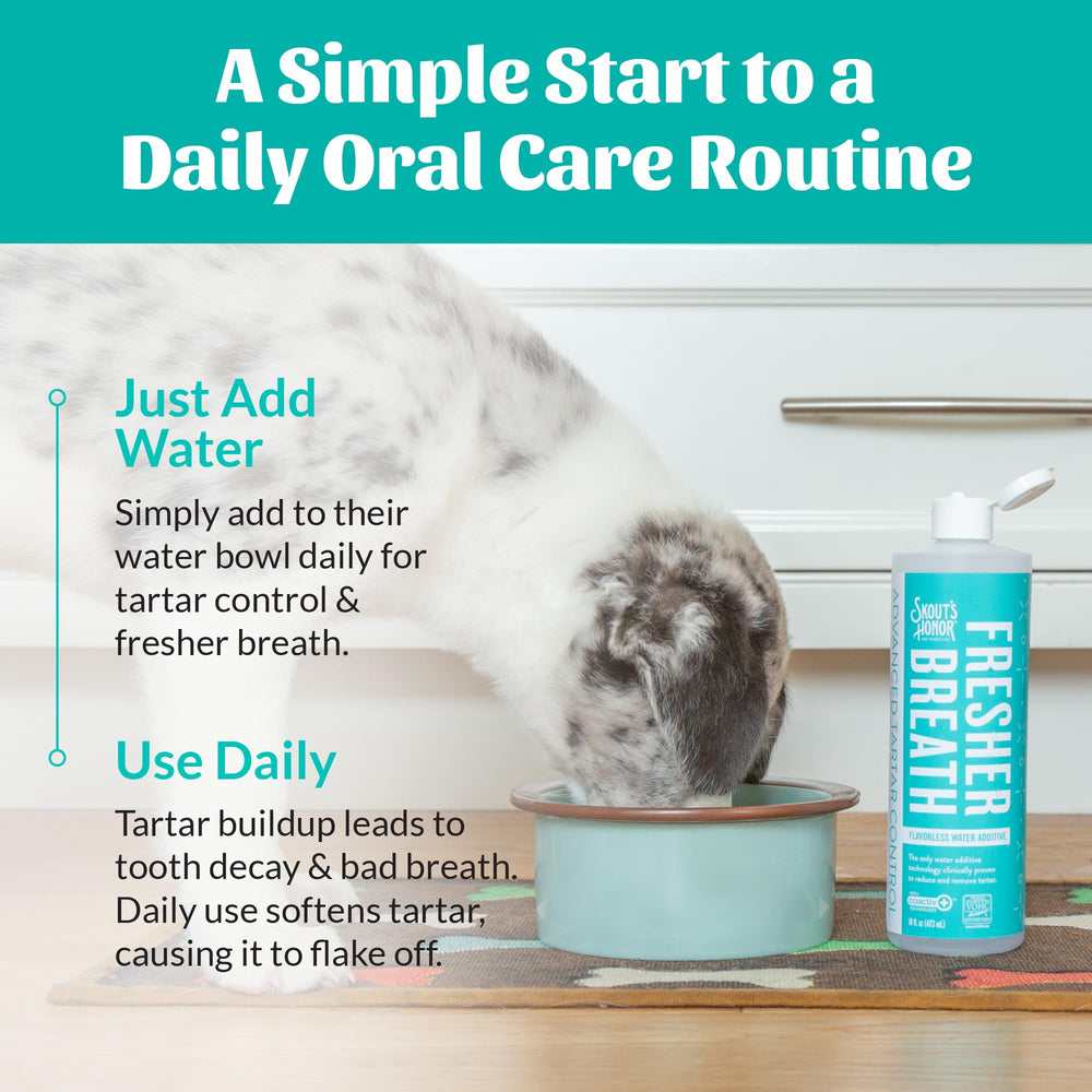 SKOUT'S HONOR uso para gato, sabor neutro para paladares sensibles.