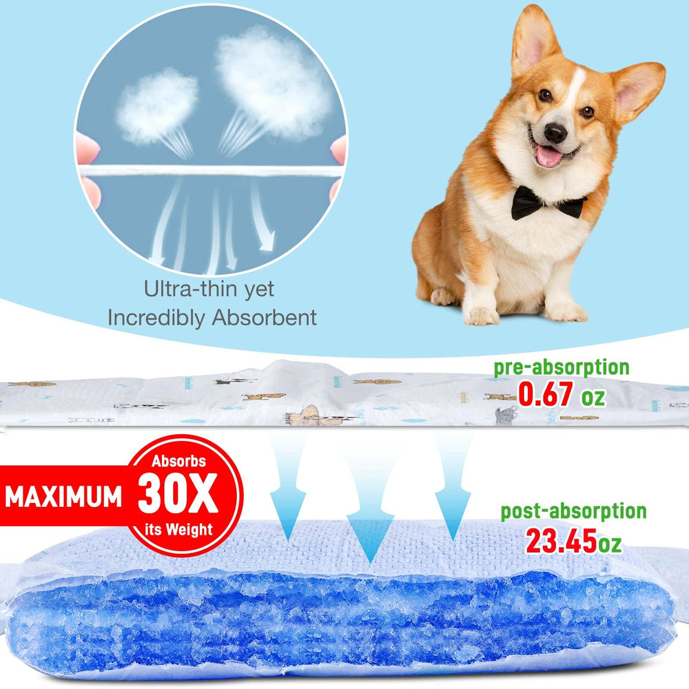 SkyLion pañales para perro macho, absorcion rapida y secado en segundos.