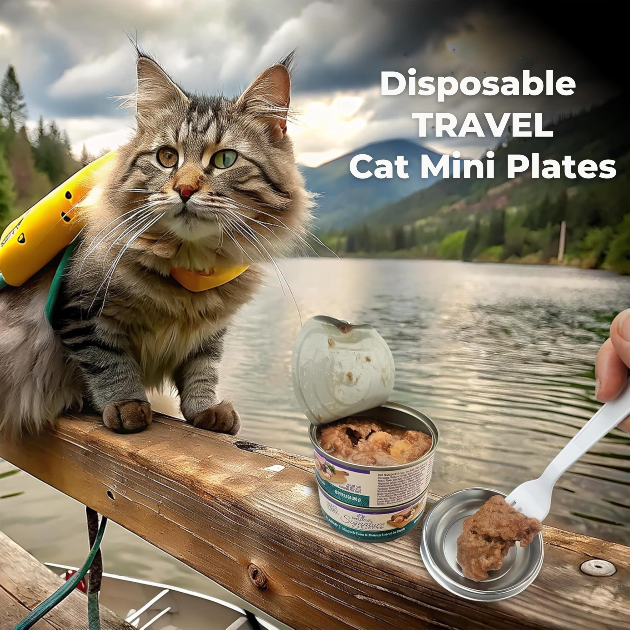 Skywin tazón desechable para gatos, perfecto para comida seca o húmeda.