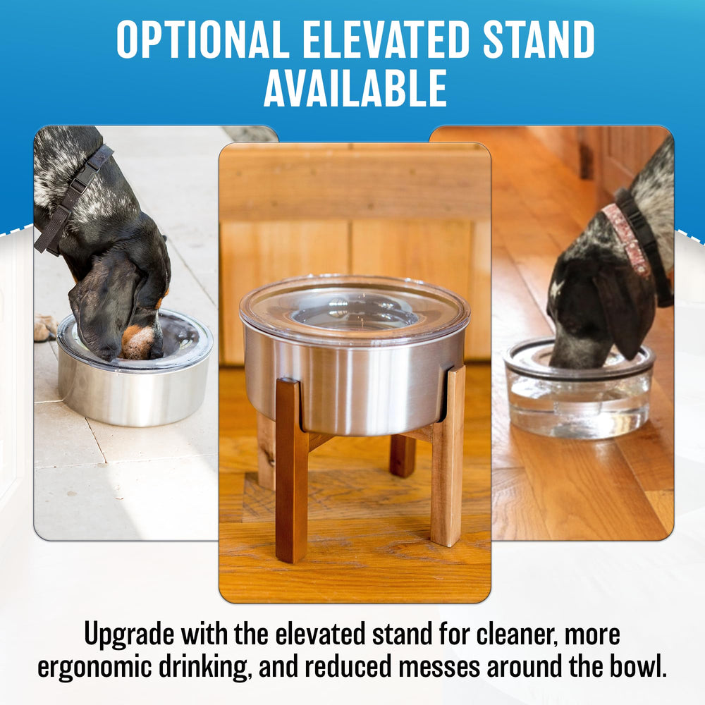 Slopper Stopper capacidad 1 galón, ideal para perros grandes durante el día