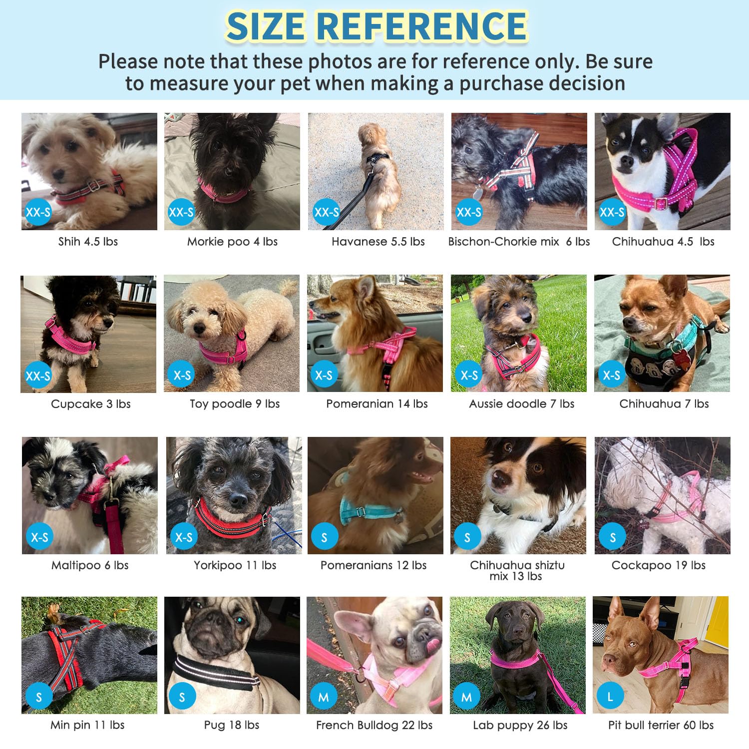 Arnés ligero y duradero, ideal para perros pequeños y cachorros.