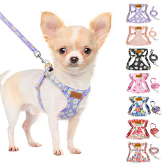 slowton arnés perro xxs daisy morada para paseos ligeros y confortables