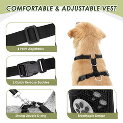 SlowTon sistema bungee absorbe impactos para viajes más suaves.