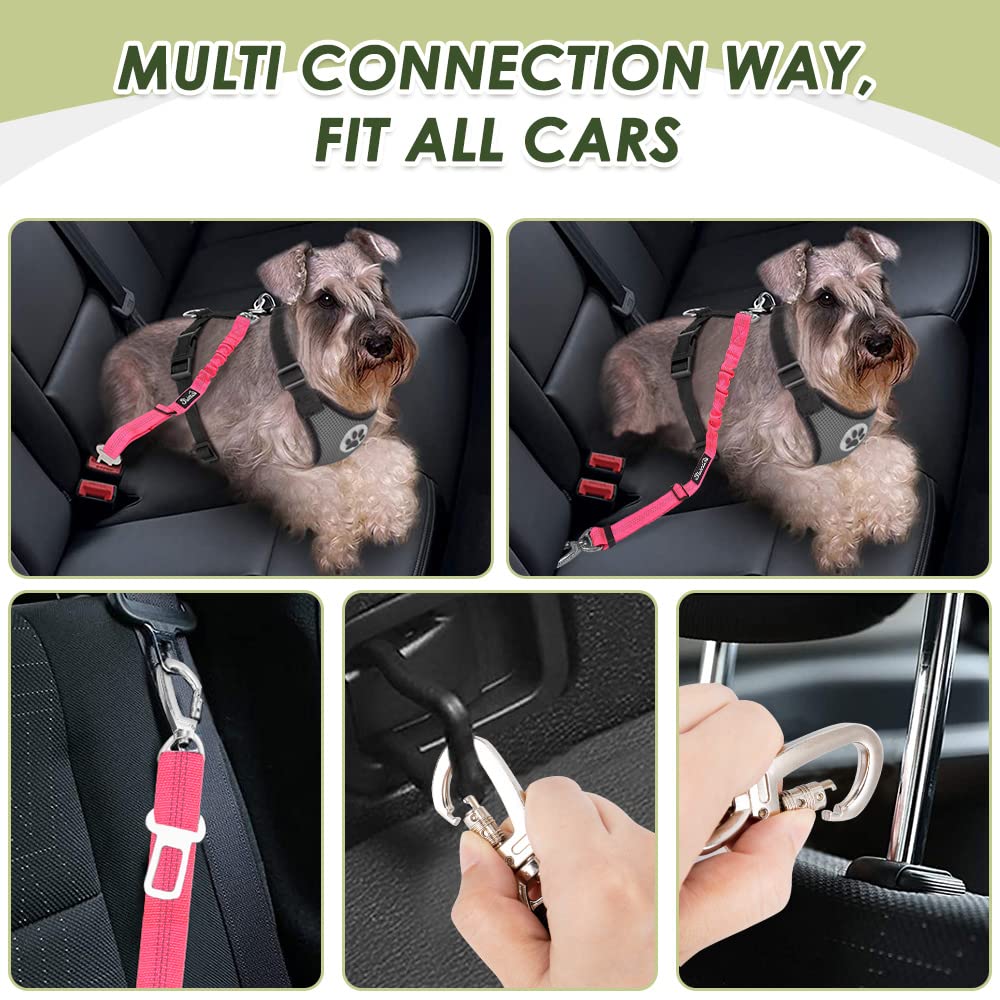 SlowTon ceinture-chien-auto réfléchissante pour meilleure visibilité nocturne.