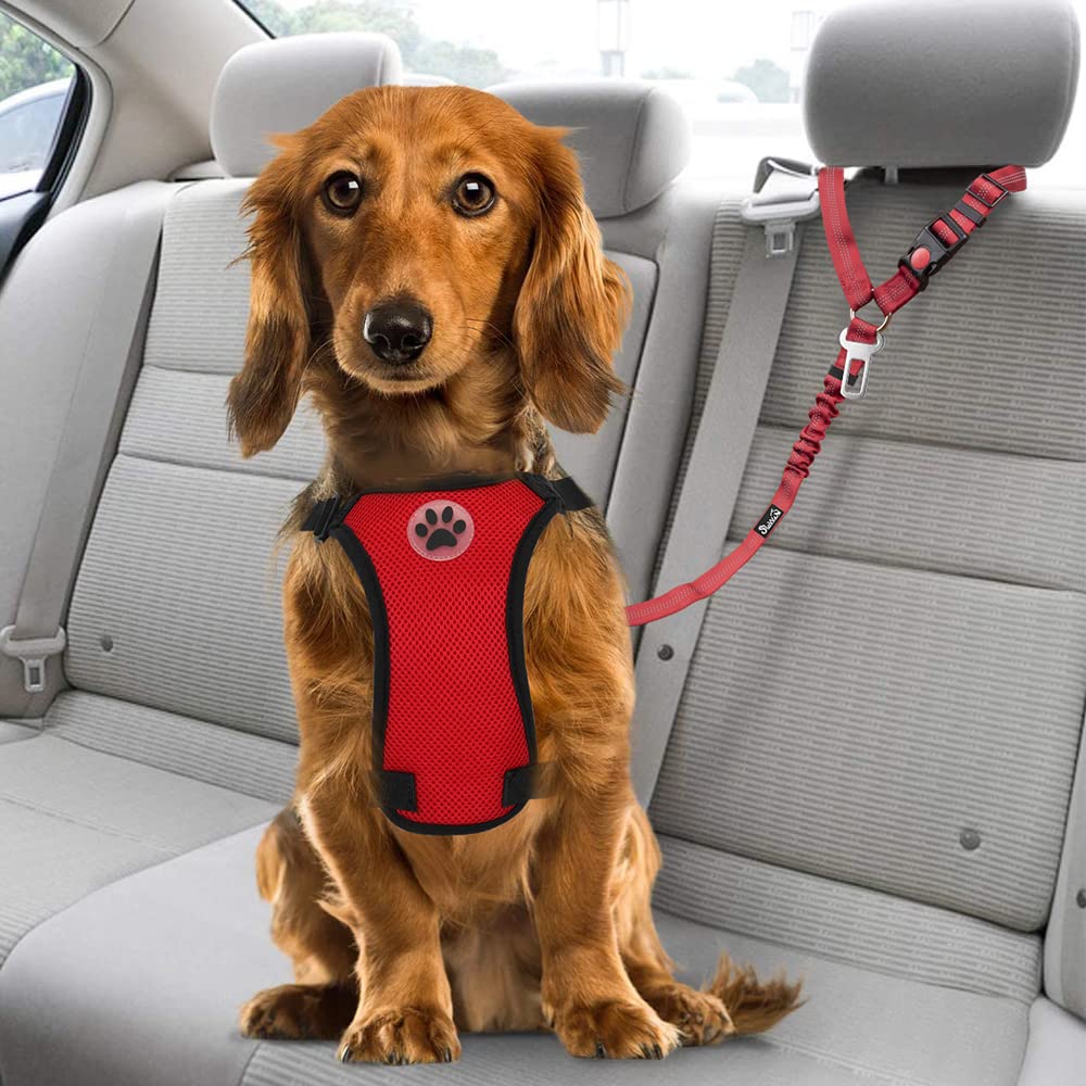 SlowTon cinturón para perros rojo, práctico para mantener a tu mascota segura durante viajes.