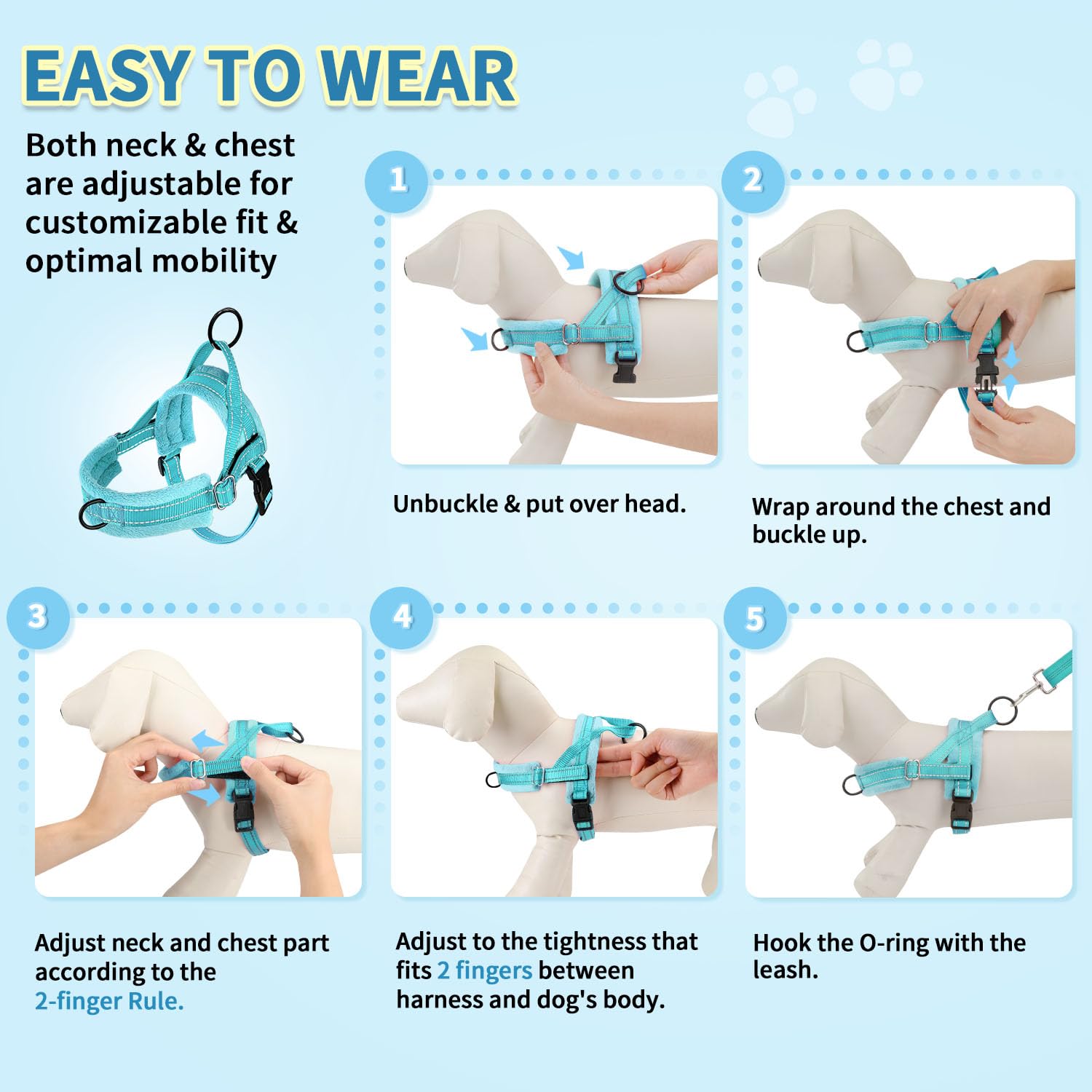 Conjunto para perros pequeños ideal para paseos y entrenamiento