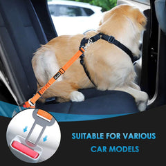 SlowTon: elástico bungee para reducir tirones y brindarte conducción más suave.