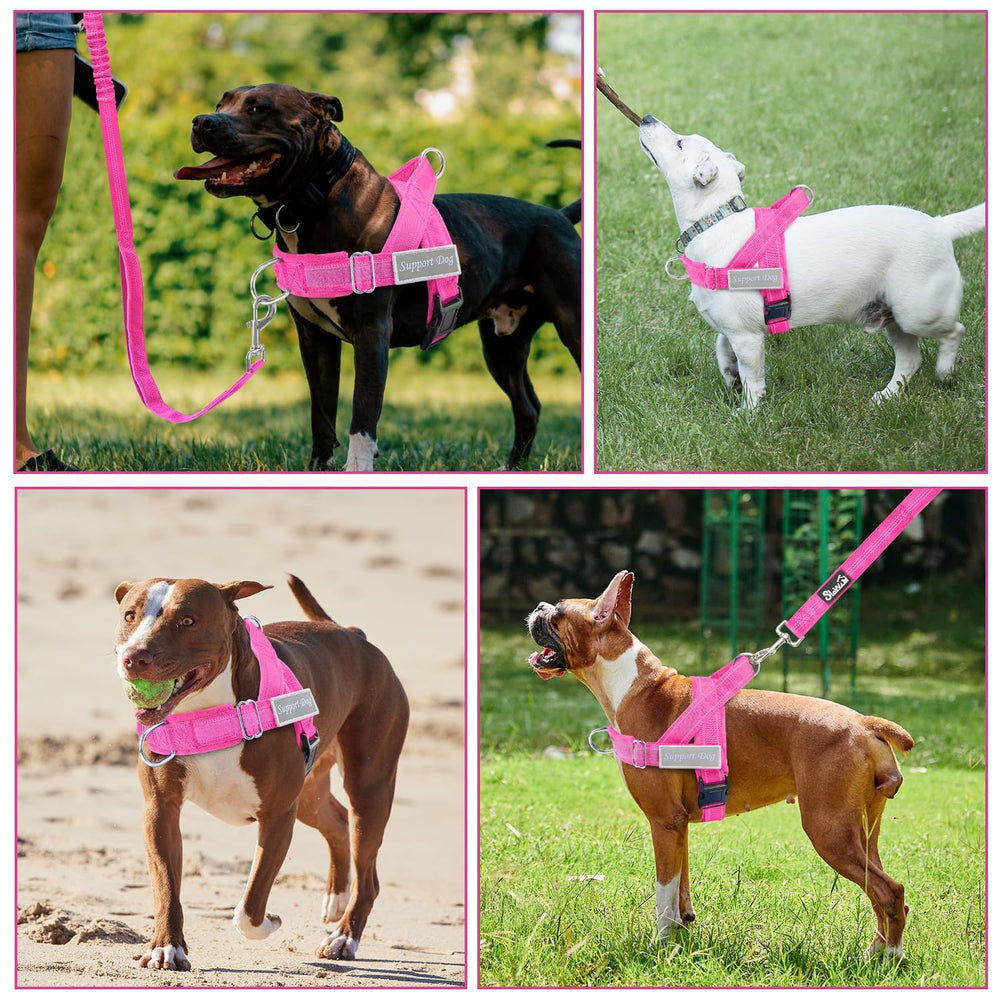SlowTon nylon duradero para uso prolongado en perros activos.